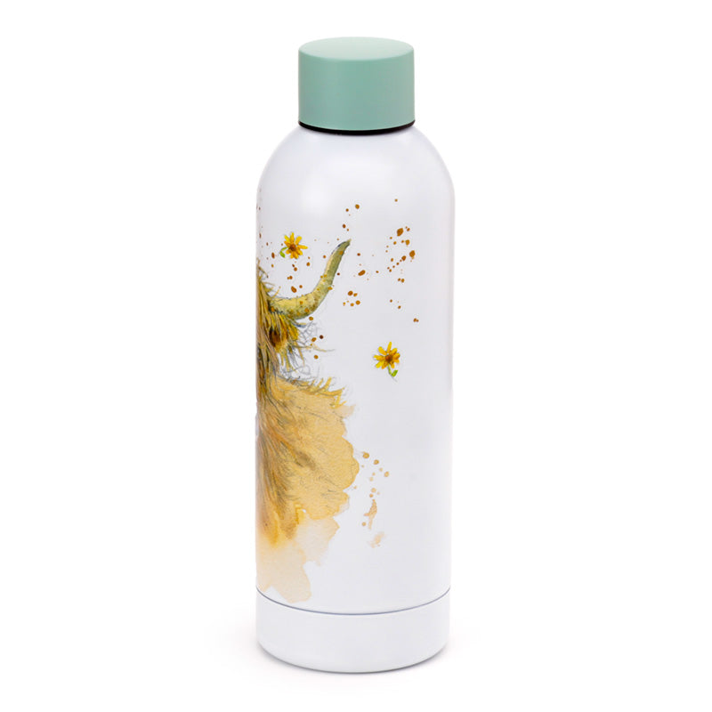 Reusable drinks bottle with Highland Coo design