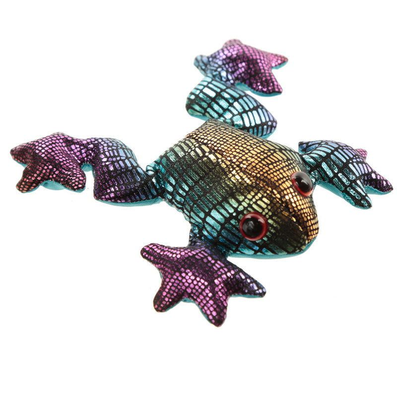 Frog Sand Animal close-up