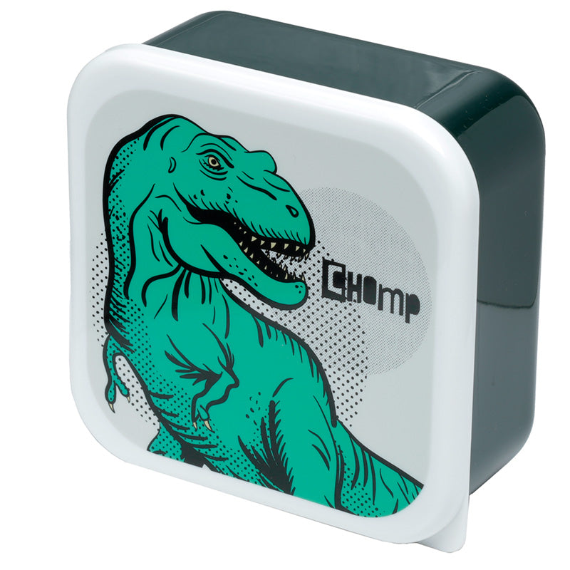 Kids lunch boxes with dinosaur motifs