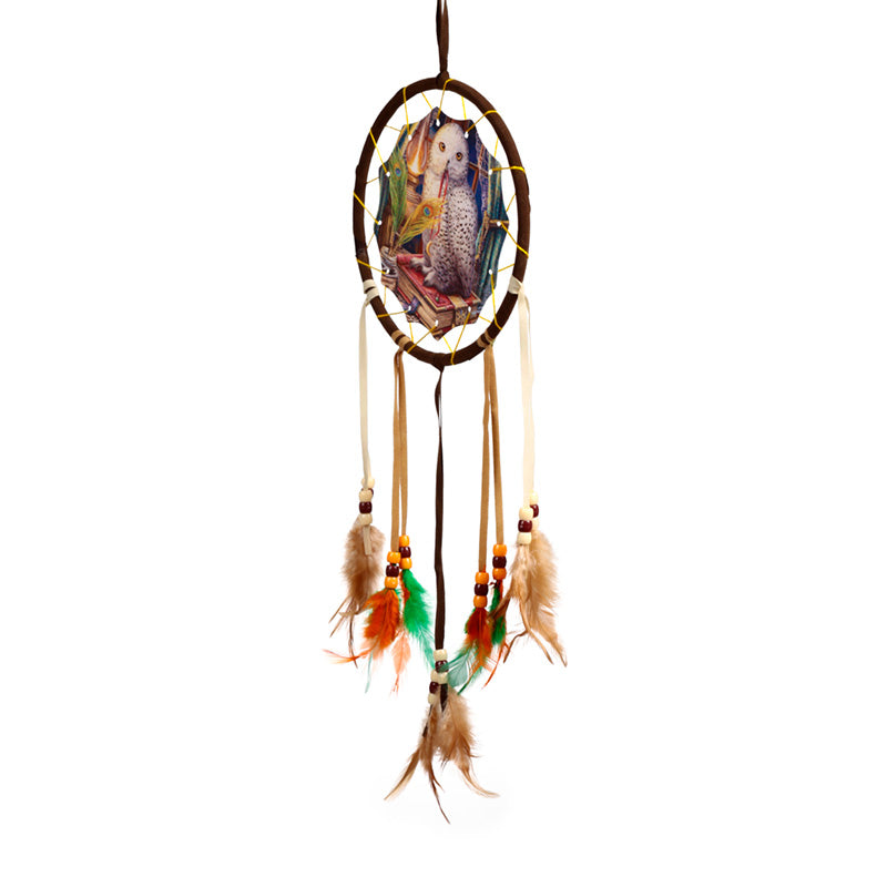 Artistic view of the Small Dreamcatcher by Lisa Parker
