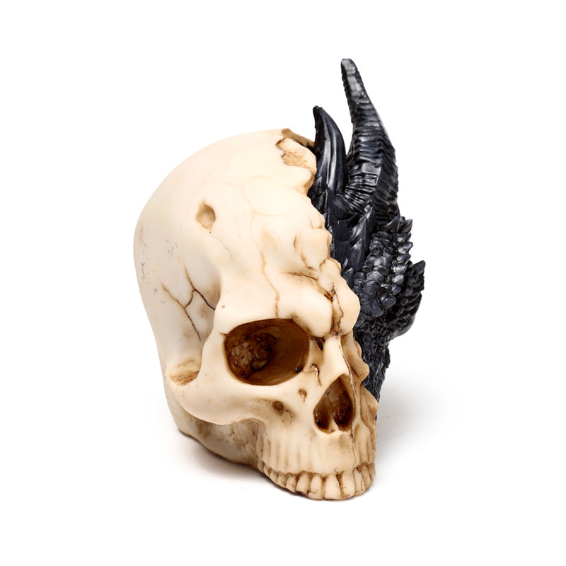 Black Dragon Skull Decorative Ornament