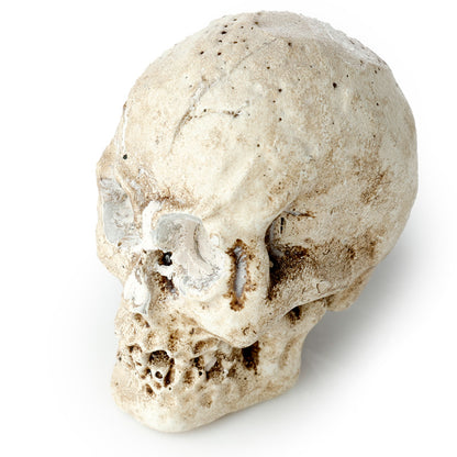 Educational play with the Fun Excavation Kit