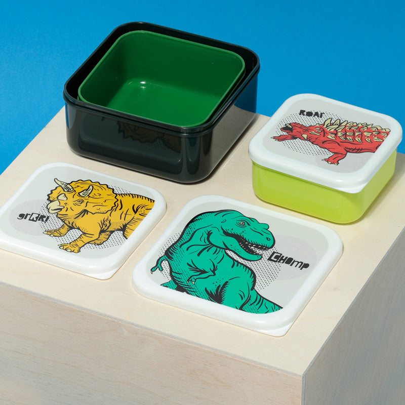 Dinosauria lunch boxes for school