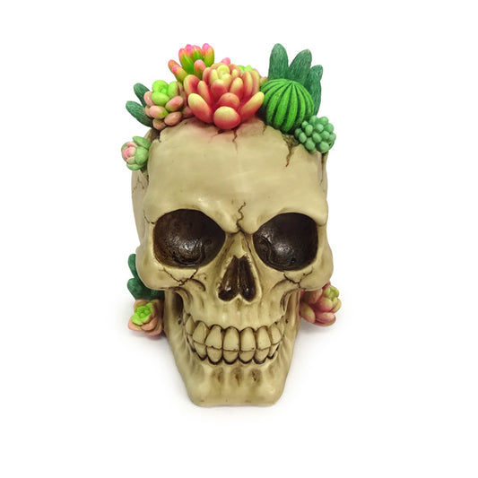 Decorative skull ornament with succulent plants