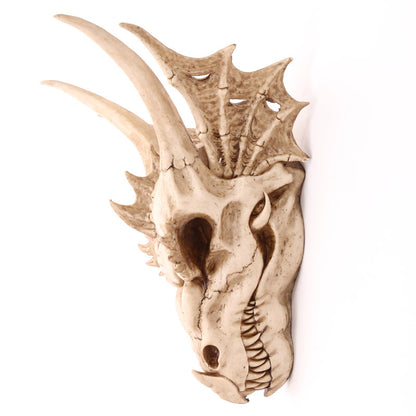 Intricate Detailing of the Decorative Dragon Skull
