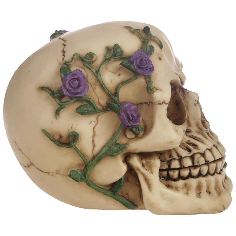 Gothic Skull Decoration on a Shelf