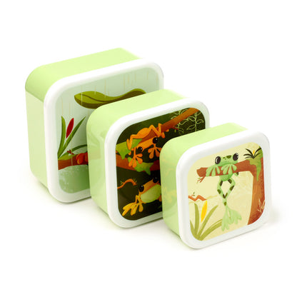 Tropical Tree Frog Lunch Box Set - Medium Size