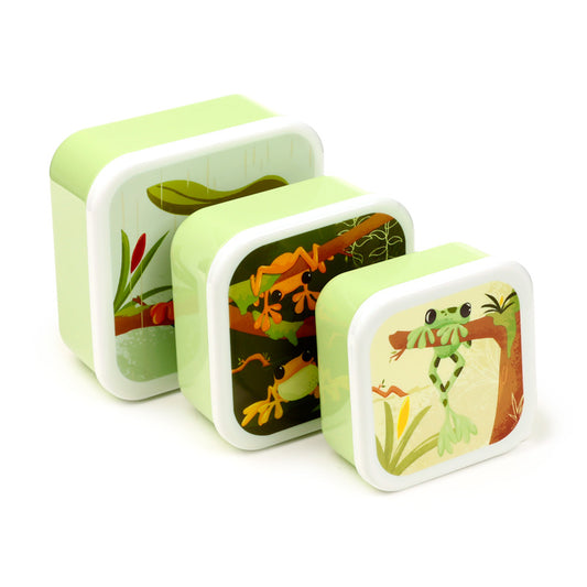 Tropical Tree Frog Lunch Box Set - Medium Size