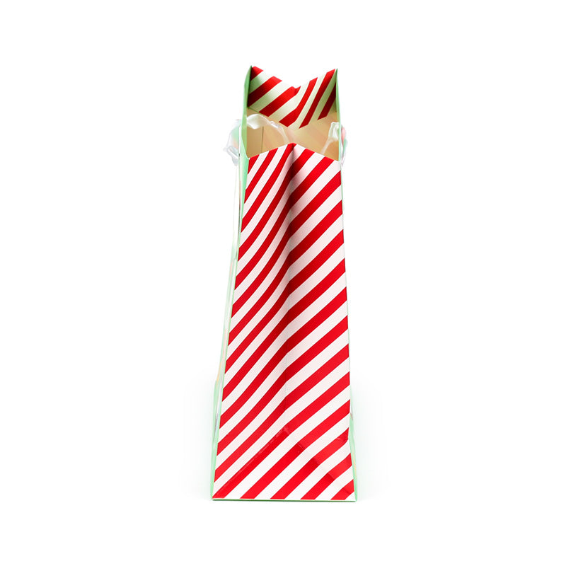 Medium Christmas Gift Bag - Christmas Jingle Bunch with sturdy handles