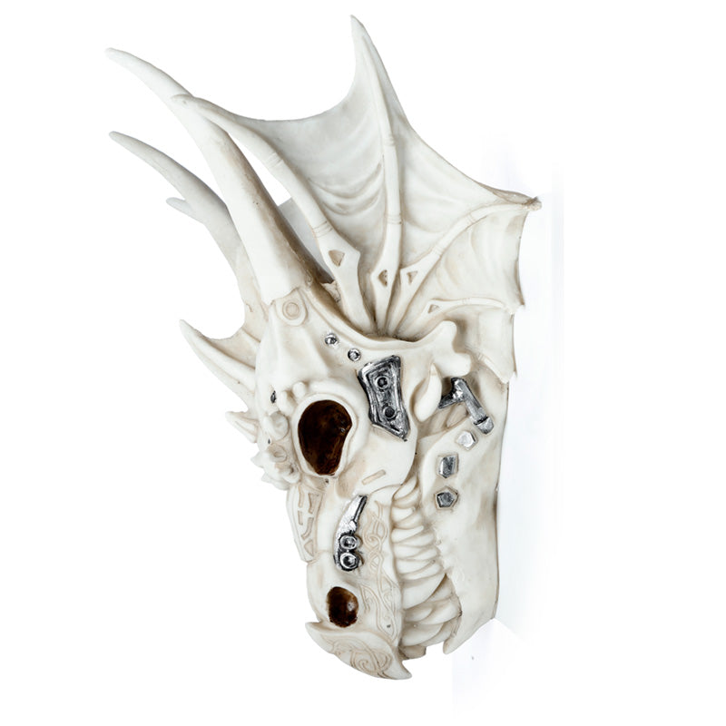 Dragon Skull Decorative Piece on Display