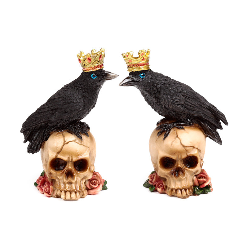 Crow wearing crown decorative ornament on skulls