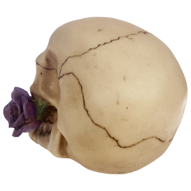 Gothic Skull Decoration with Seasonal Theme
