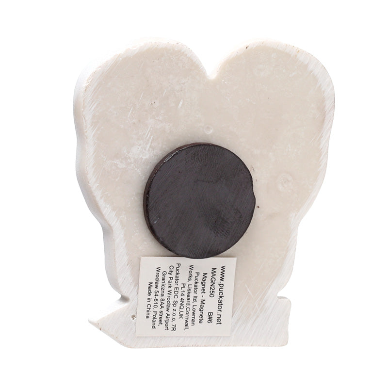 Collectible Flip Flop Beach Sign Magnet