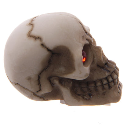 Decorative Skull Ornament for Home Display