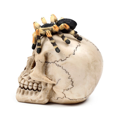 Decorative Skull Ornament with Spider - Detailed Metalwork