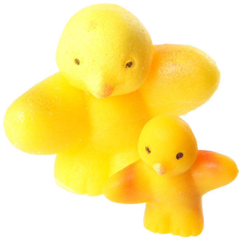 Fun Kids Novelty Hatching Chicken for imaginative play