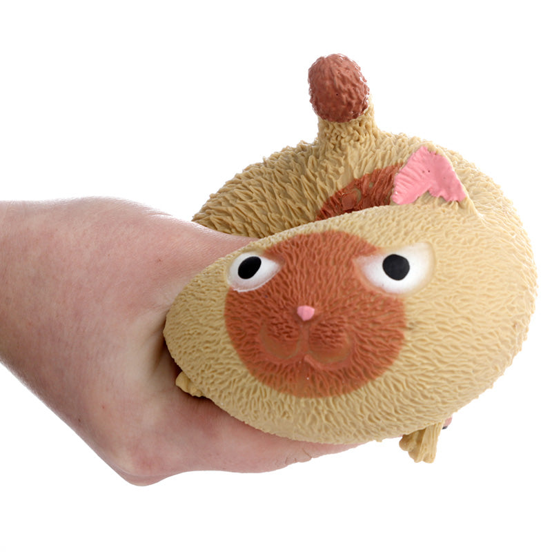 Stretchable Cat Toy displayed on a shelf