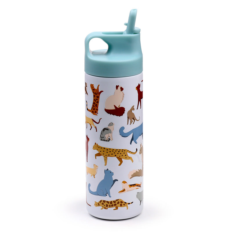 Eco-friendly insulated drinks bottle for cat lovers