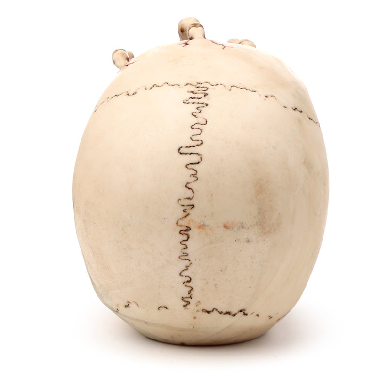 Gothic Skull with Detailed Claw Hand