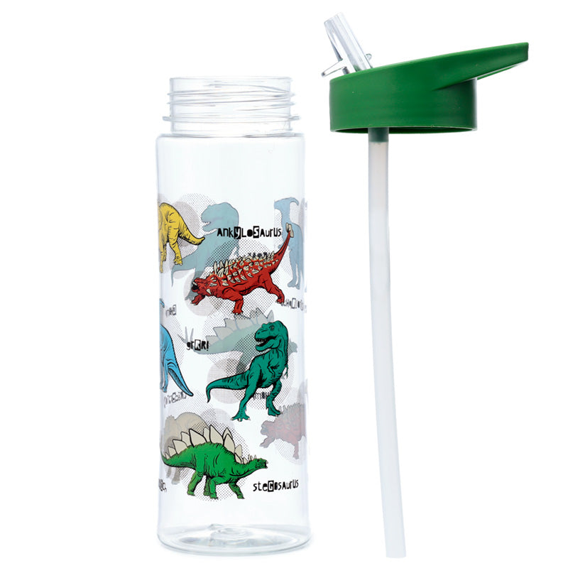 Dinosauria water bottle with flip straw