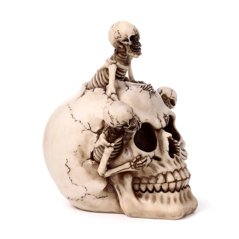 Collectible Skull Ornament for gothic home decor